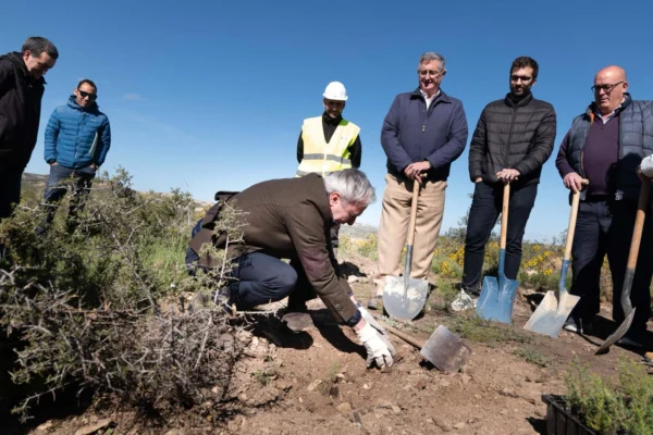 Jornada de reforestación con plantación de árboles dentro del Plan de Reforestación de Aragón